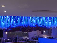 -蟹之国·精品蟹料理(极地店)