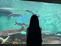 -太平洋海底世界