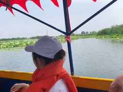 -白洋淀景区