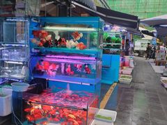 -青石桥花鸟鱼虫市场(叠翠城店)