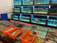 -天天海鲜城·海鲜大排档(新溪店)