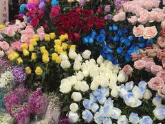 -越秀西湖花市(广州城市广场花卉店)