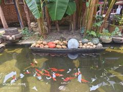 -德云居