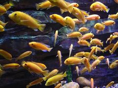 -多彩贵州城极地海洋世界