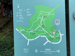 -上海佘山国家森林公园天马山园