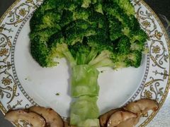 -天鹅到家·保姆月嫂育儿嫂(蔚蓝海岸店)