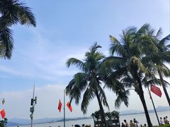 -深圳湾公园(南山区)