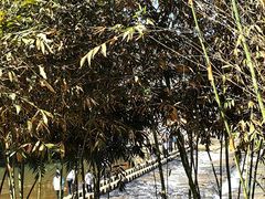 -云水谣景区