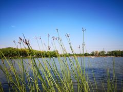 -昆山城市生态森林公园