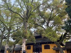 -西园戒幢律寺