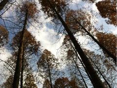 iphone_upload_pic-上海怡沁园度假酒店