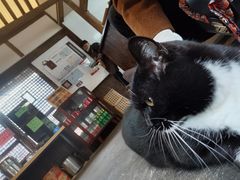 -下面馆