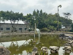 -自贡恐龙博物馆