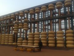 -枫香湖儿童公园