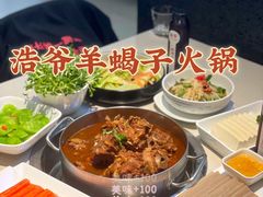 -浩爷羊蝎子火锅(望京店)