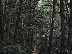 -九龙潭景区
