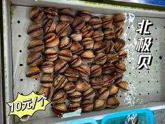 -大湾区中央湿地公园-十九涌