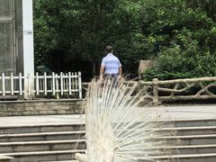 -黔灵山公园
