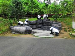 -都江堰中华大熊猫苑