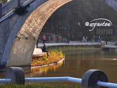 -金砂公园