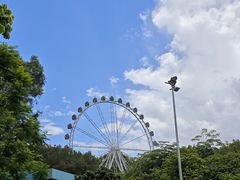 -紫马岭公园