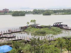 -芒洲湿地公园