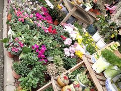 -三圣花乡旅游区