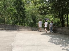 -中山市树木园