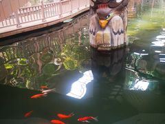 -南宫五洲植物乐园