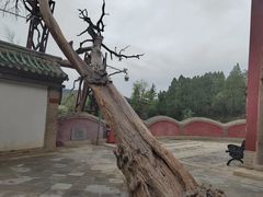 -玉泉观