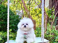 -上海神旺大酒店