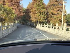 -广富林郊野公园