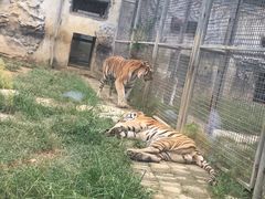 -黔灵山公园-南门售票处