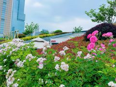 -UNI UNI(环亚凯瑟琳店)