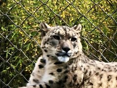 -青藏高原野生动物园
