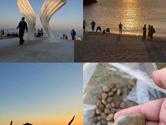 -日照灯塔风景区