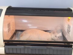-芭比堂动物医院·犬猫全科·异宠专科(雁塔分院)