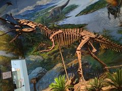 -自贡恐龙博物馆