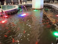 -碧中海汤泉汗蒸酒店