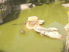 -南昌动物园