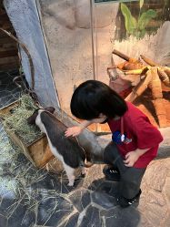 -Zoolung Zoolung动物主题公园(海信广场店)