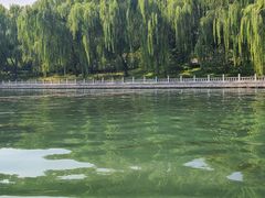 -皇家御河游(紫御湾码头)