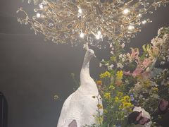 -滇野云南野生菌餐厅(陕西南路店)