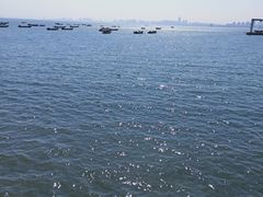 -烟台海昌鲸鲨海洋公园