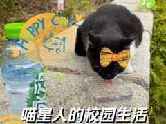 -山东大学(威海校区)