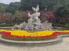 -金鸡山公园