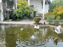-广富林宰相府酒店·水云间