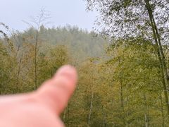 -安吉美渝石锅鱼(芜园西路店)