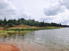 -安宁市宁湖森林公园