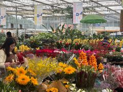 -三圣花乡旅游区